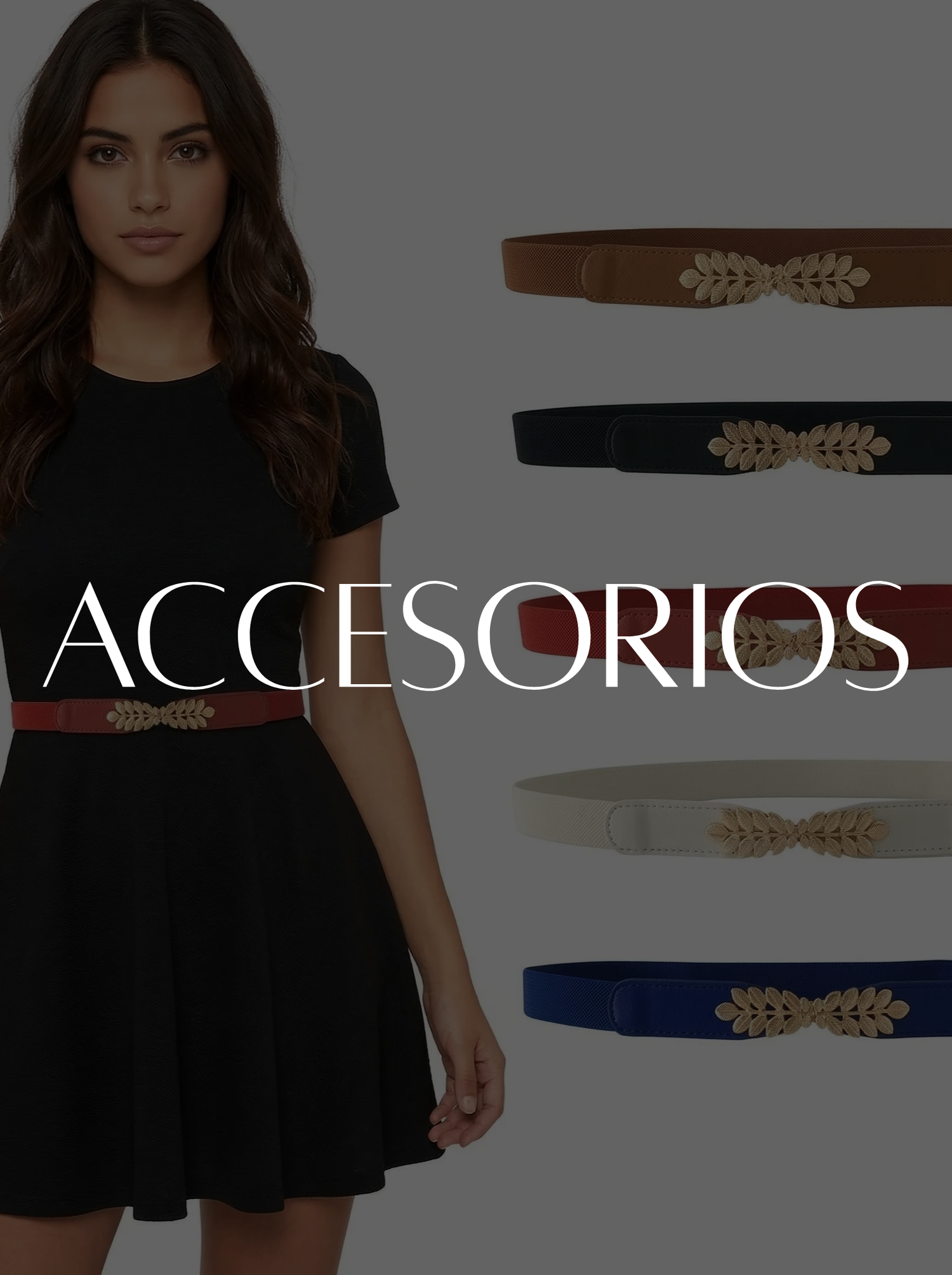 ACCESORIOS